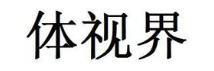 体视界