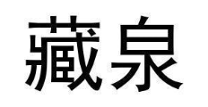 藏泉