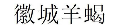 徽城羊蝎