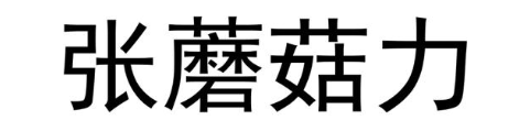 张蘑菇力