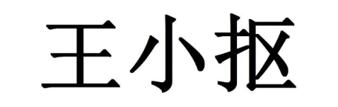 王小抠