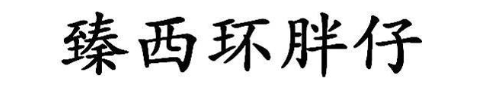 臻西环胖仔
