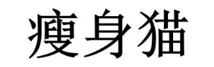 瘦身猫