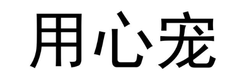 用心宠