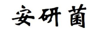 安研菌