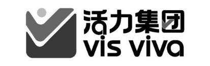 活力集团 VIS VIVA
