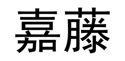 嘉藤