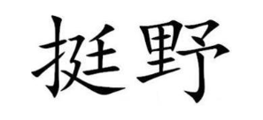 挺野