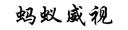 蚂蚁威视