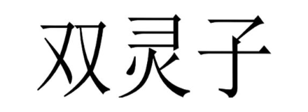双灵子