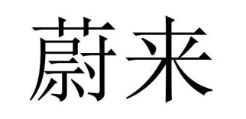 蔚来