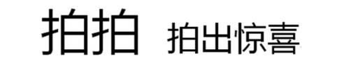 拍拍 拍出惊喜