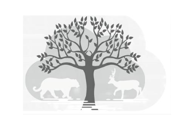 图形