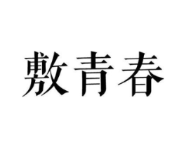 敷青春商标原图 第10类医疗器械