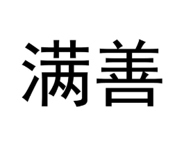 满善商标原图 第10类医疗器械