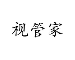 视管家商标原图 第10类医疗器械