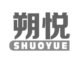 朔悦商标原图 第10类医疗器械