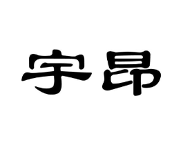 宇昂商标原图 第10类医疗器械