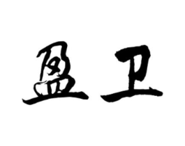 盈卫商标原图 第10类医疗器械