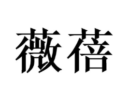 薇蓓商标原图 第10类医疗器械