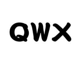 QWX商标原图 第10类医疗器械