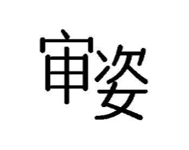 审姿商标原图 第10类医疗器械