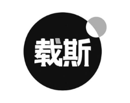 载斯商标原图 第10类医疗器械