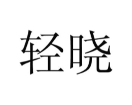 轻晓商标原图 第10类医疗器械