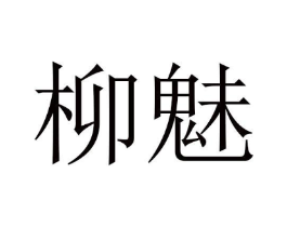 柳魅商标原图 第10类医疗器械
