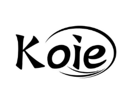 KOIE商标原图 第10类医疗器械