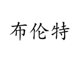 布伦特商标原图 第10类医疗器械