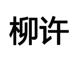 柳许商标原图 第10类医疗器械