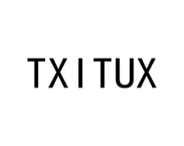 TXITUX商标原图 第10类医疗器械