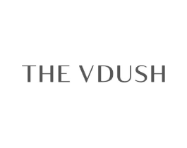 THE VDUSH商标原图 第10类医疗器械