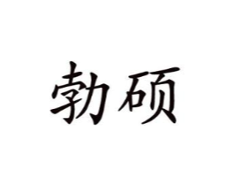勃硕商标原图 第10类医疗器械