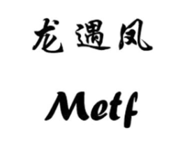 龙遇凤 METF商标原图 第10类医疗器械