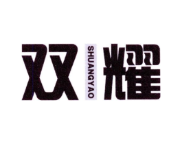双耀商标原图 第10类医疗器械