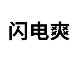 闪电爽商标原图 第10类医疗器械