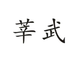莘武商标原图 第10类医疗器械