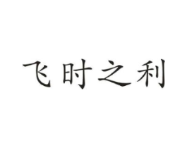 飞时之利商标原图 第10类医疗器械