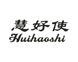 慧好使商标原图 第10类医疗器械