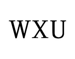 WXU商标原图 第10类医疗器械