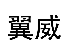 翼威商标原图 第10类医疗器械