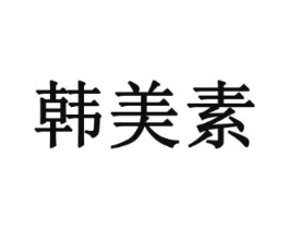 韩美素商标原图 第10类医疗器械