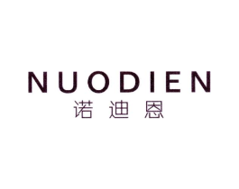 诺迪恩商标原图 第10类医疗器械