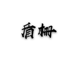 盾栅商标原图 第10类医疗器械