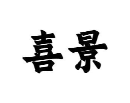 喜景商标原图 第10类医疗器械