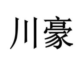 川豪商标原图 第10类医疗器械