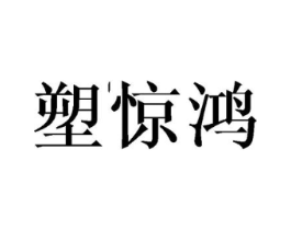 塑惊鸿商标原图 第10类医疗器械