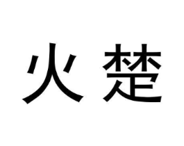 火楚商标原图 第10类医疗器械